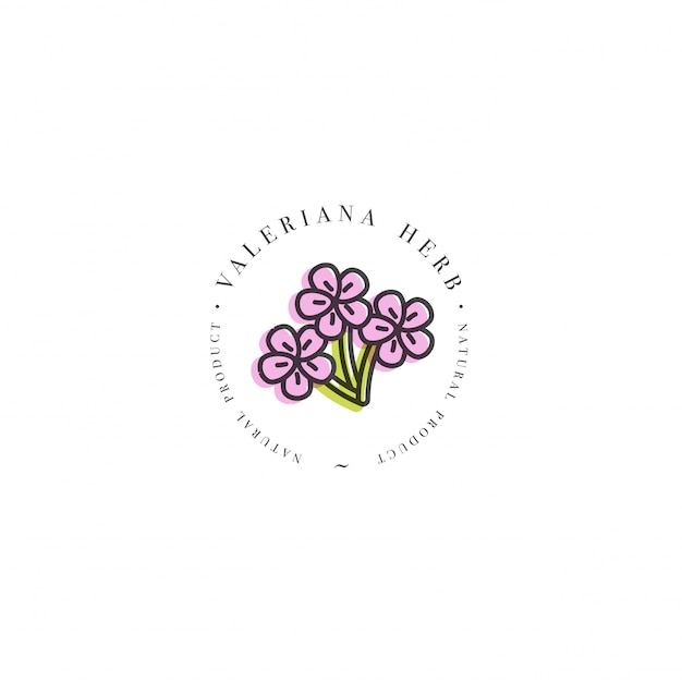 デザインテンプレートのロゴとエンブレムの健康的なハーブバレリアナ。分離されたトレンディな直線的なスタイルのロゴ。