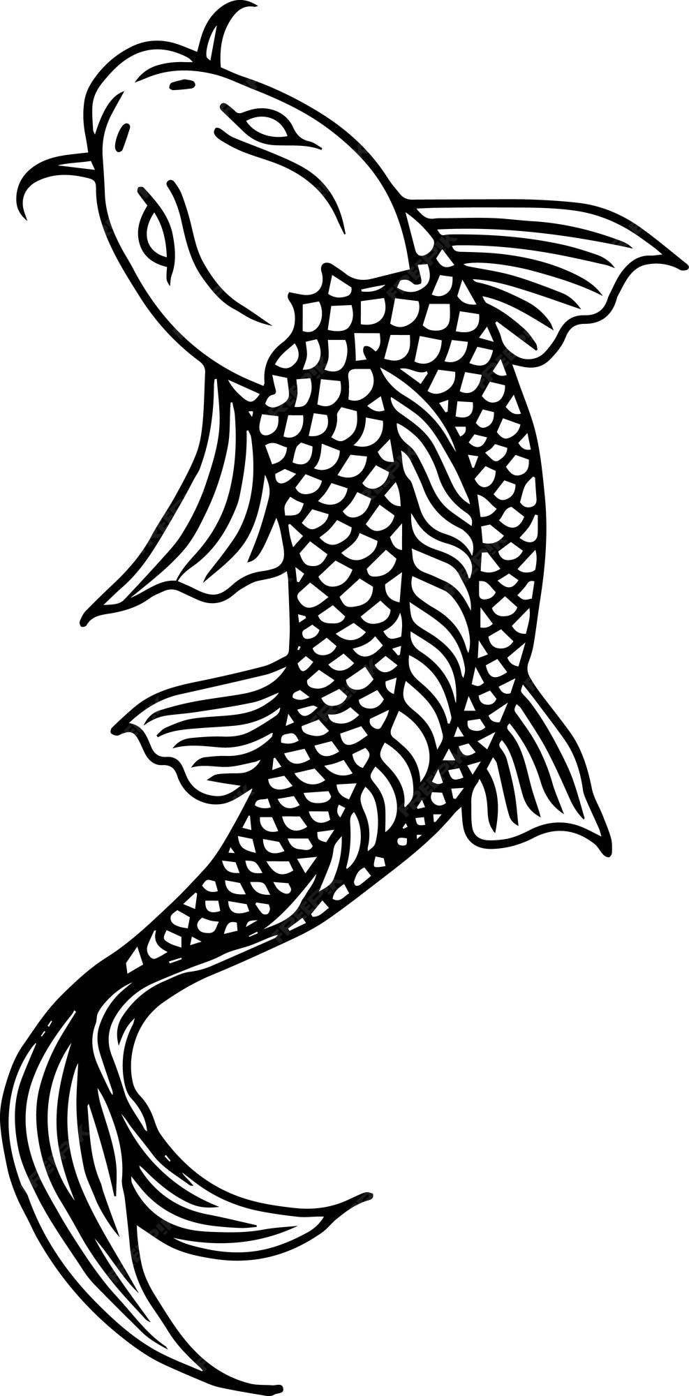Koi Fish Outline Koi Fish Outline