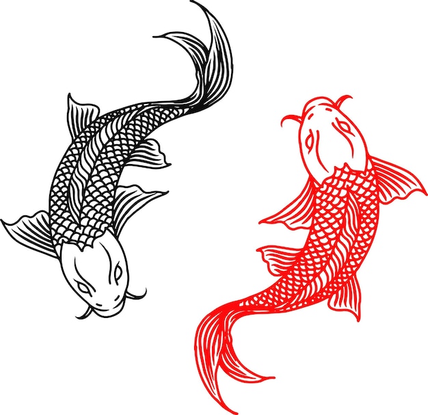 Векторный контур двух рыб кои, черная и красная линия