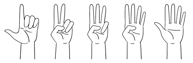 Designation of numbers with hands gestures Counting to five  hands Vector illustration isolated