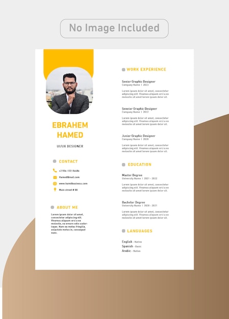 Designer CV Template with luxury colors