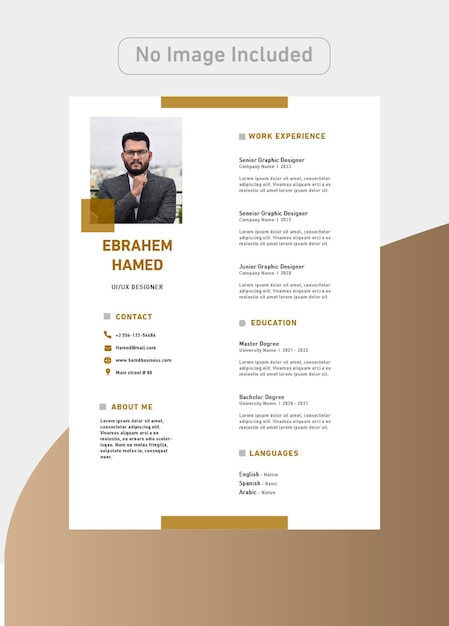 Designer CV Template with luxury colors