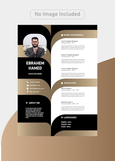 Designer CV Template with luxury colors