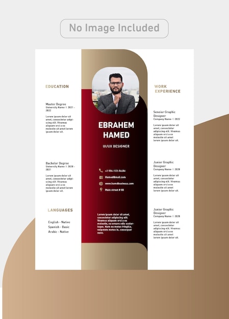 Designer CV Template with luxury colors