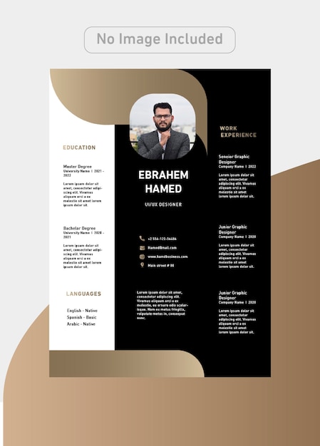Designer CV Template with luxury colors