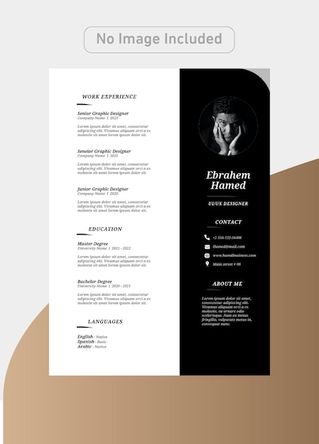 Designer CV Template with luxury colors