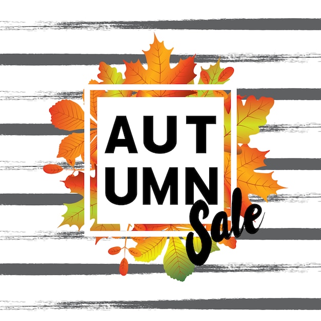 Vector designs for autumn with leaves background