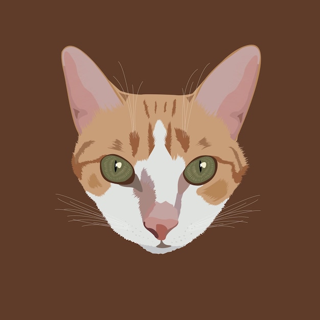 Detailed Brown Cat vector illustration in front view isolated