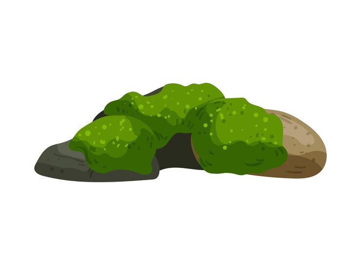 Вектор подробные кусты