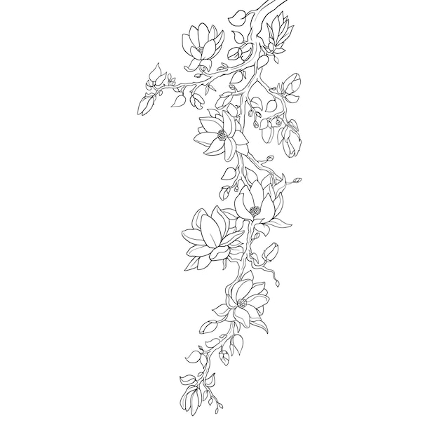 Vector detailed clean line art hand draw illustration of flower garlands