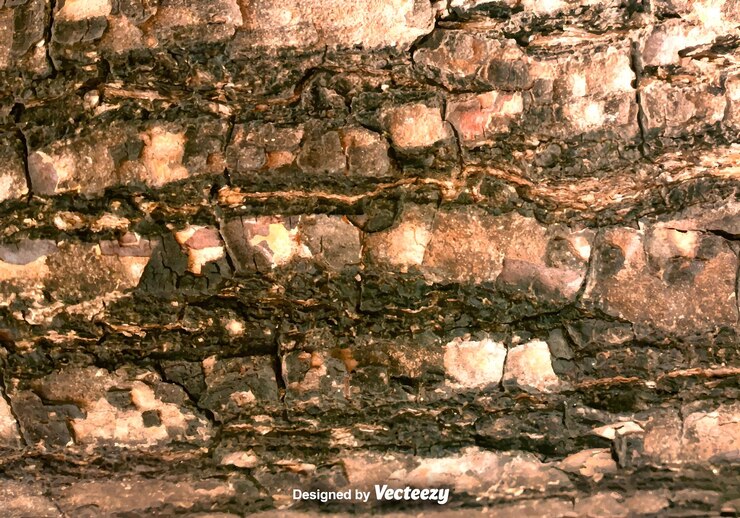 Vector detailed close-up of tree bark