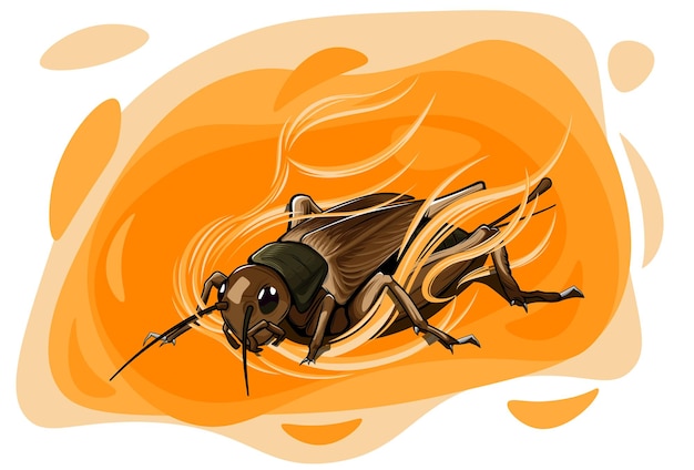 Detailed cricket insect vector background