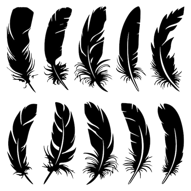 detailed feather silhouettes collection vector design