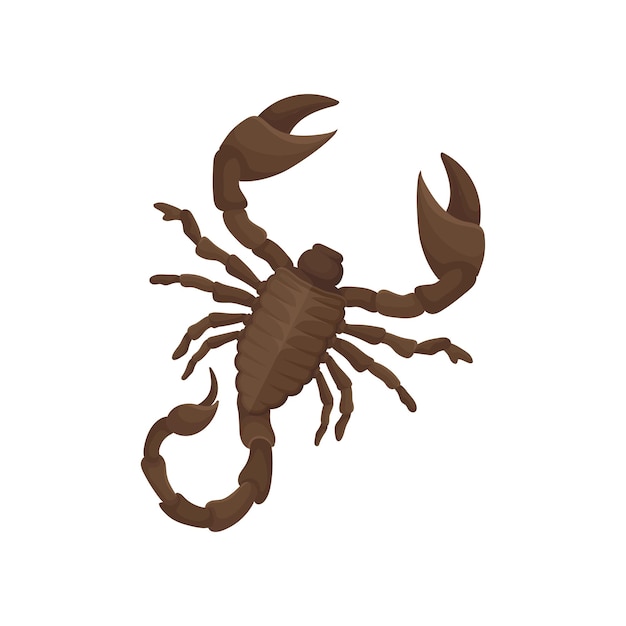 Detailed flat vector icon of Egyptian scorpion Creature with eight legs pair of claws and narrow tail with venomous stinger