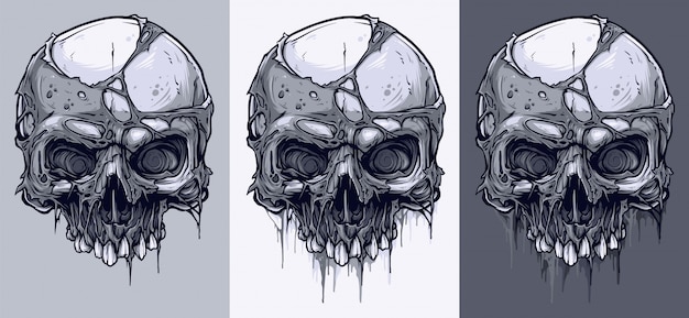 Detailed graphic black and white human skulls set