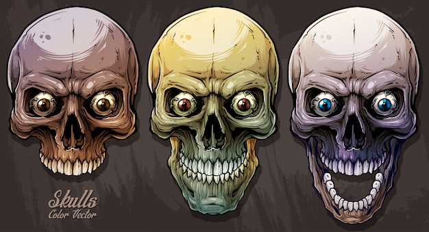 Detailed graphic colorful human skulls set