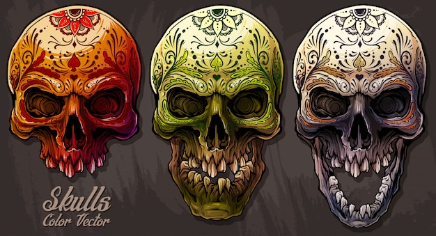 Vector detailed graphic colorful human skulls set