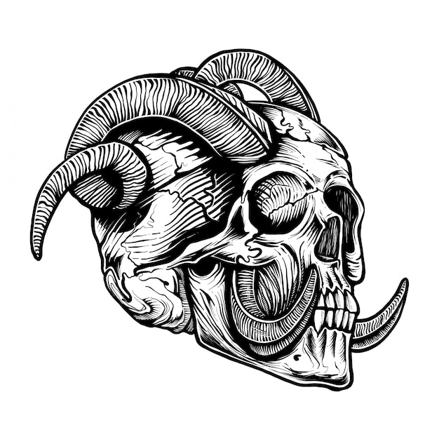 Vector detailed graphic realistic cool black and white human skulls