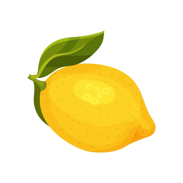 Детальная икона ярко-желтого лимона с зеленым листом Зрелые цитрусовые Кулинарный ингредиент Графический элемент для упаковки чая или конфеты Цветная плоская векторная иллюстрация, изолированная на белом фоне