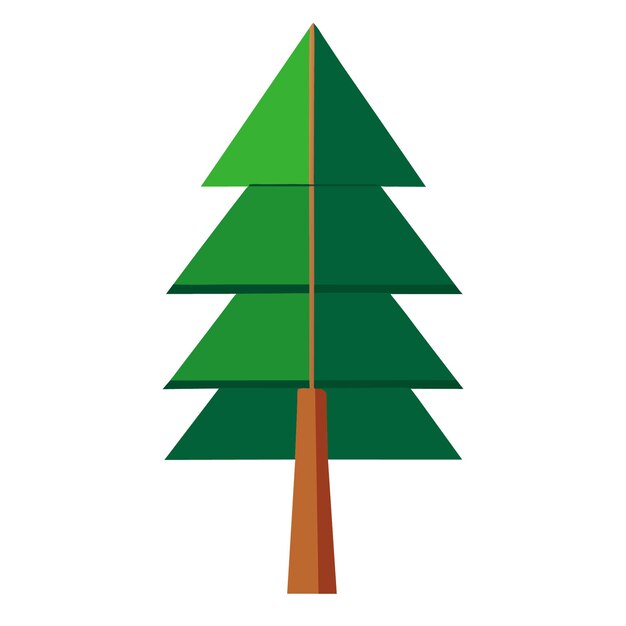 Vector detailed isolated coniferous tree vector illustration on white background