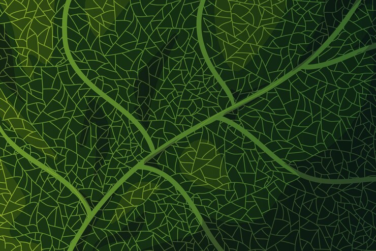 Vector detailed leaf vein texture background with natural patterns perfect for organic botanical designs