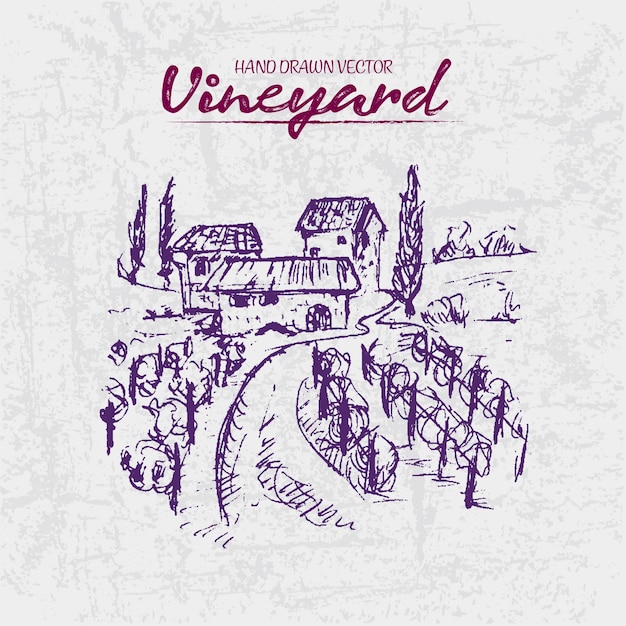 Detailed line art hand drawn purple vineyard illustration