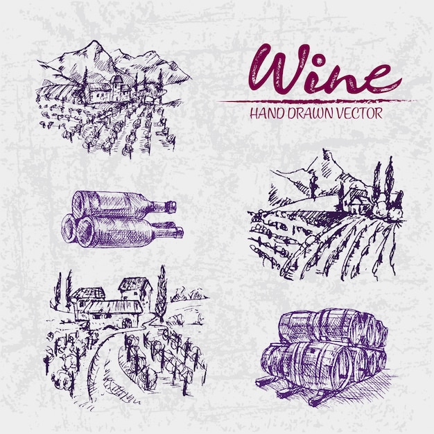 Detailed line art hand drawn purple winery illustration