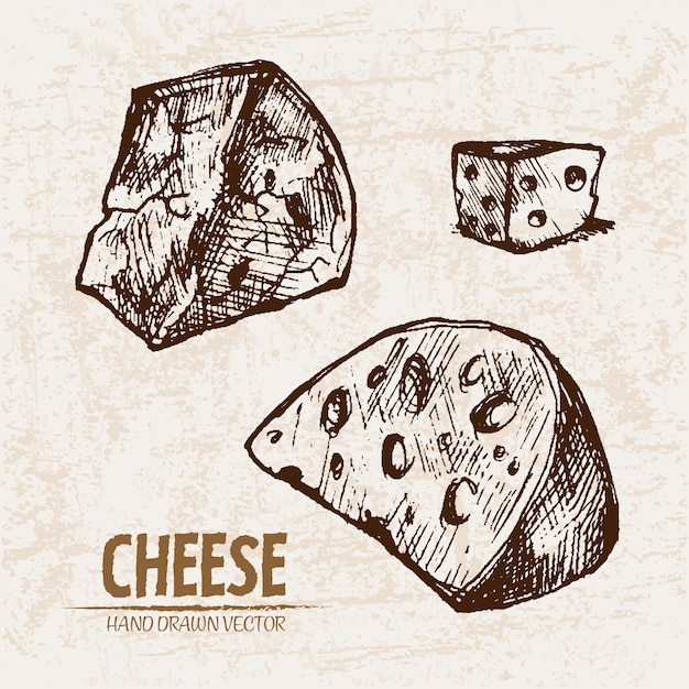 Detailed line art sliced cheese with holes