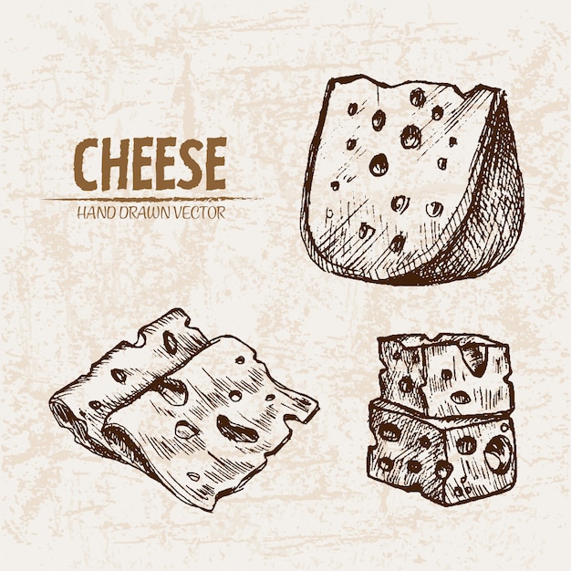 Detailed line art sliced cheese with holes