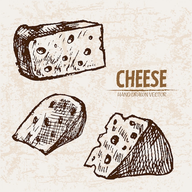 Detailed line art sliced cheese with holes