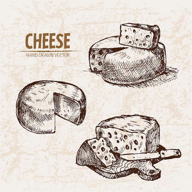 Vector detailed line art sliced cheese with holes