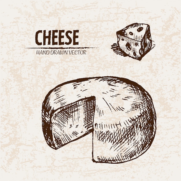 Detailed line art sliced cheese