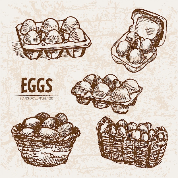 Detailed line art splitted and packed eggs