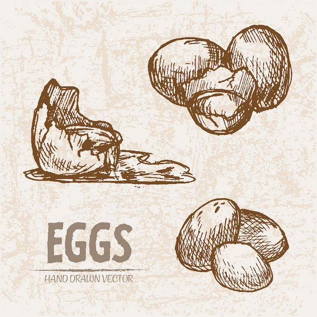 Детальное линейное искусство расщепленных и упакованных яиц