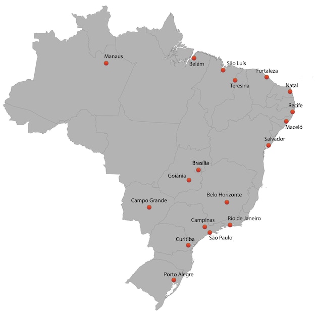 Detailed map of the Brazil