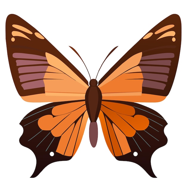 Vettore svelata la dettagliata arte minimalista della farfalla monarca