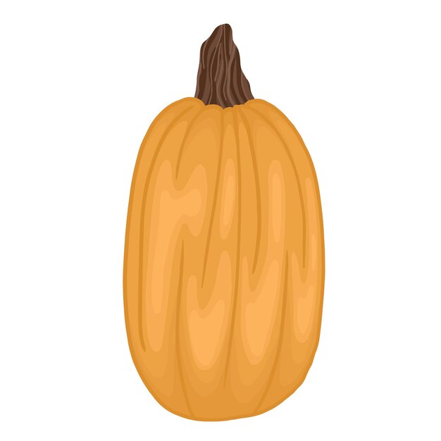 Detailed pumpkin, one colorful vector pumpkin.