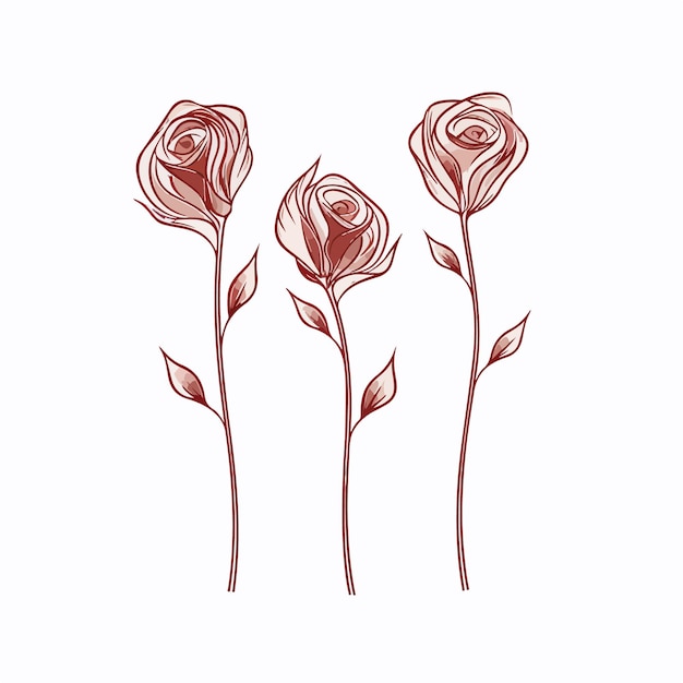 Detailed roses illustration in black and white