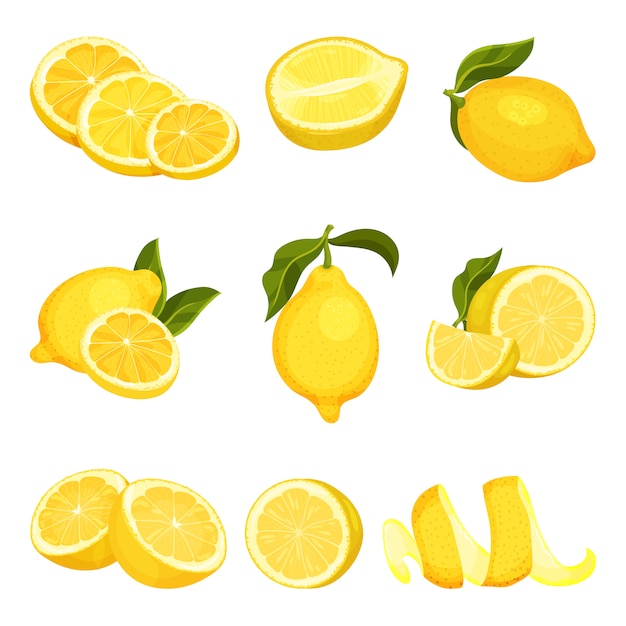 Vector detailed  set of sliced and whole lemons. juicy citrus fruit. organic product. natural and healthy food