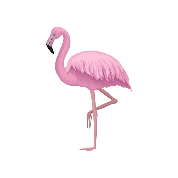 Detailed vector icon of beautiful flamingo with gentle pink feathers long legs and neck exotic bird element for postcard or banner