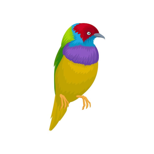 Detailed vector portrait of gouldian finch Exotic bird with brightcolored feathers and little beak Wildlife and fauna theme