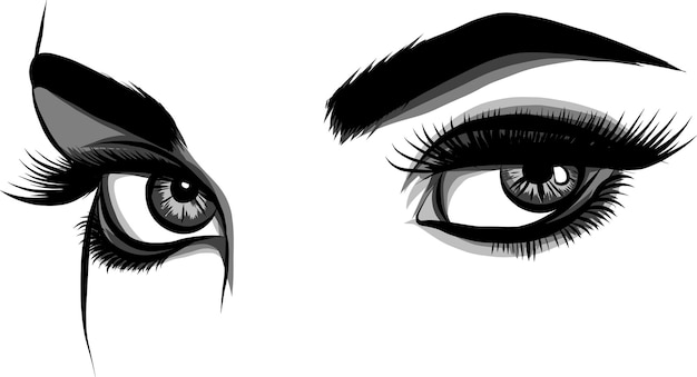 Detailed woman eyes with long eyelashes illustration on white background