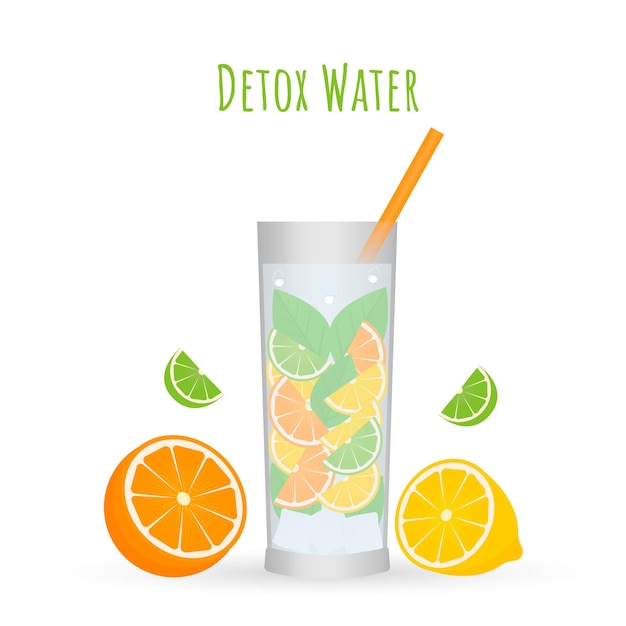 Detox water in glas vectorillustratie Verfrissende citrusdrank sinaasappel citroen en limoen schijfjes met groene muntblaadjes Zomer drank gezonde levensstijl concept