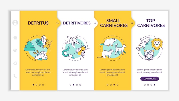 Detritus voedselketen onboarding vector sjabloon. Biologisch proces. Detritivoren en carnivoren. Responsieve mobiele website met pictogrammen. Stapschermen voor het doorlopen van webpagina's. RGB-kleurconcept