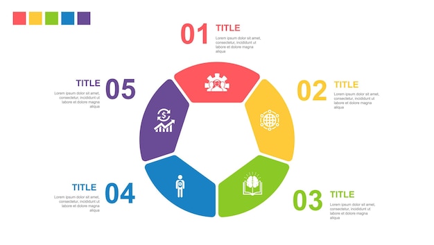 Development global solution knowledge investor economy icons Infographic design layout template Creative presentation concept with 5 steps