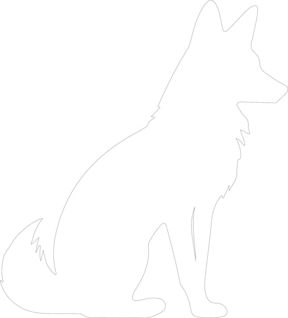 Vector dhole outline with transparent background