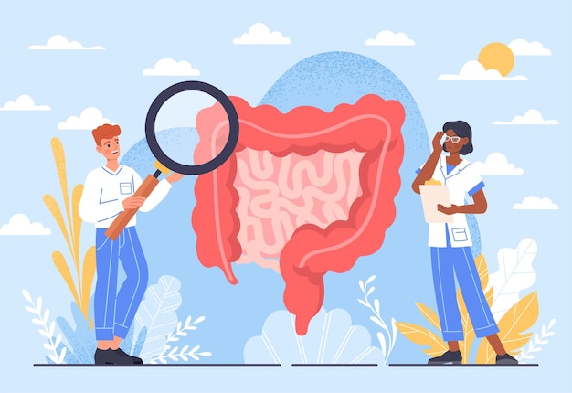 Diagnostic research intestines