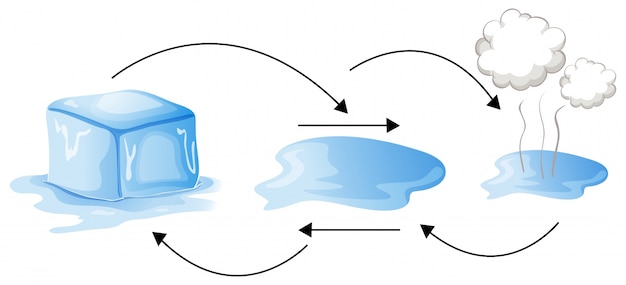 Diagram dat laat zien hoe water van vorm verandert