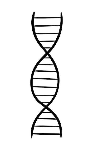 Diagramma dna codice genetico doodle lineare cartone animato libro da colorare