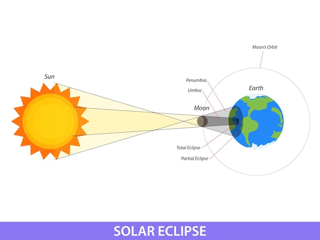 Diagram showing Solar eclipse on earth illustration